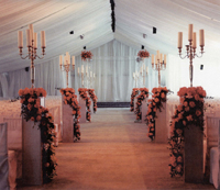 Ballroom On The Bayou-2